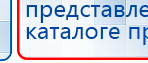 СКЭНАР-1-НТ (исполнение 02.1) Скэнар Про Плюс купить в Брянске, Аппараты Скэнар купить в Брянске, Дэнас официальный сайт denasdoctor.ru